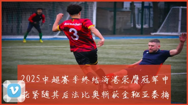 2025中超赛季终结海港荣膺冠军申花紧随其后法比奥斩获金靴亚泰梅州遗憾降级