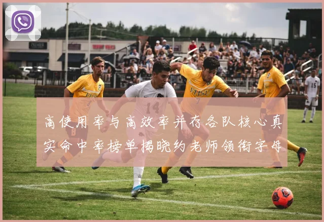 高使用率与高效率并存各队核心真实命中率榜单揭晓约老师领衔字母紧随其后