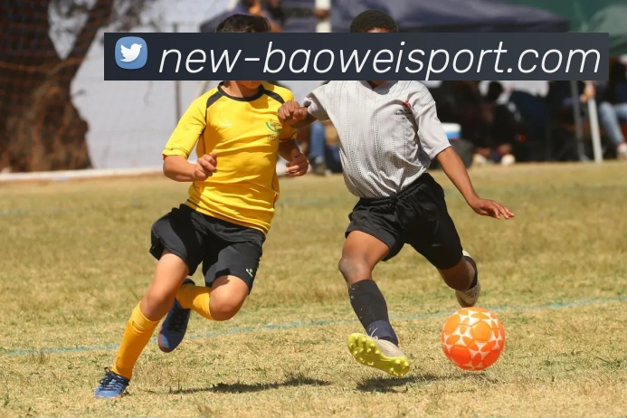 宝威体育APP 封面图